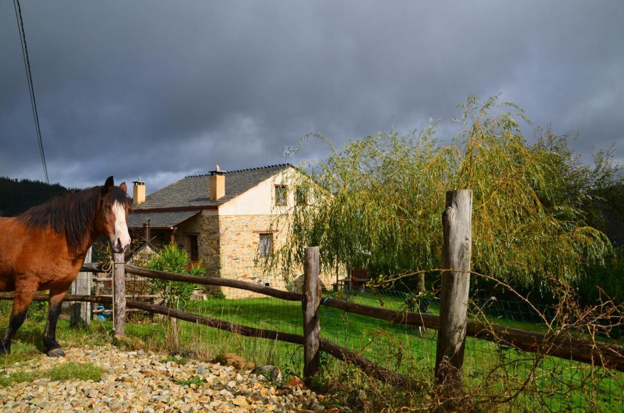 Apartamentos Rurales Tia Vicenta Santa Eulalia de Oscos Esterno foto
