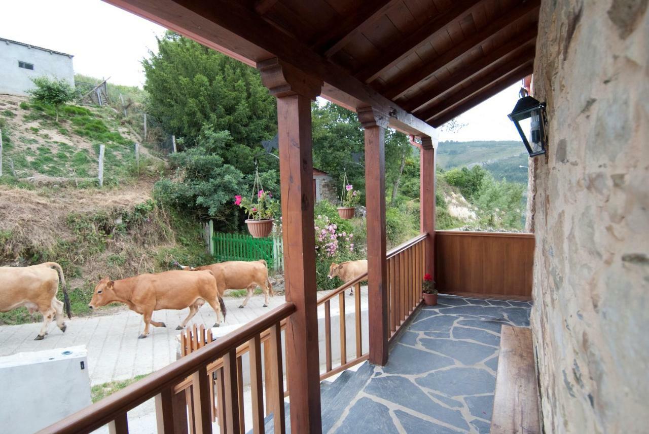 Apartamentos Rurales Tia Vicenta Santa Eulalia de Oscos Esterno foto